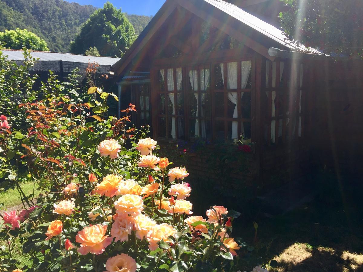 Tu Cabana San Martín de los Andes Exterior foto